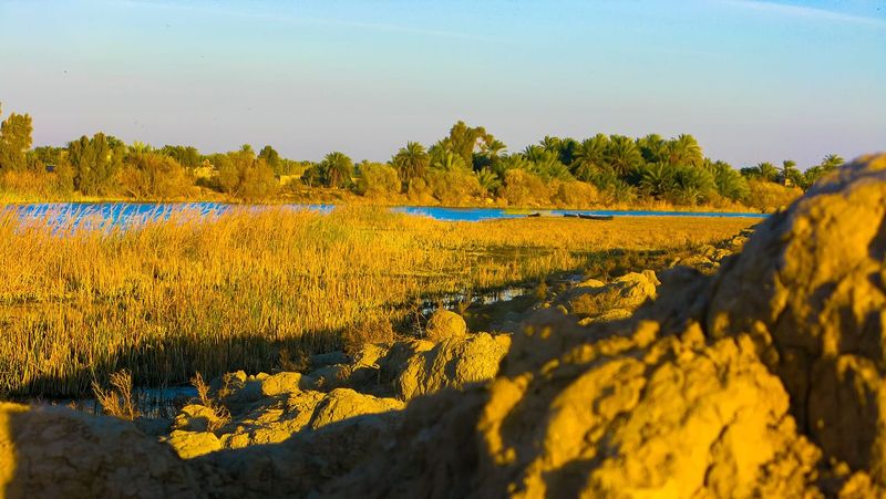 A family of English architects is rebuilding Iraq