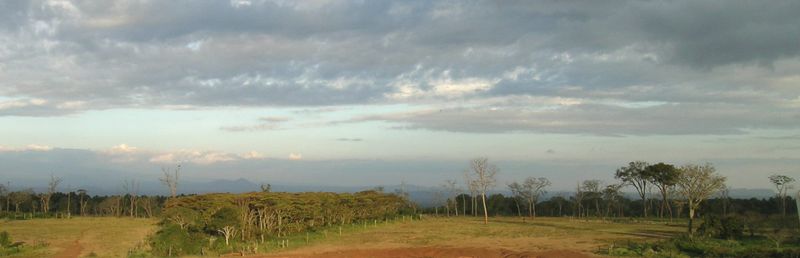 Should all videogames be free?