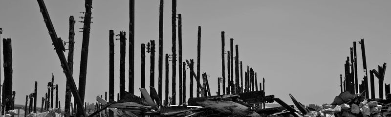 I fell in love with a sex ninja at the end of the world