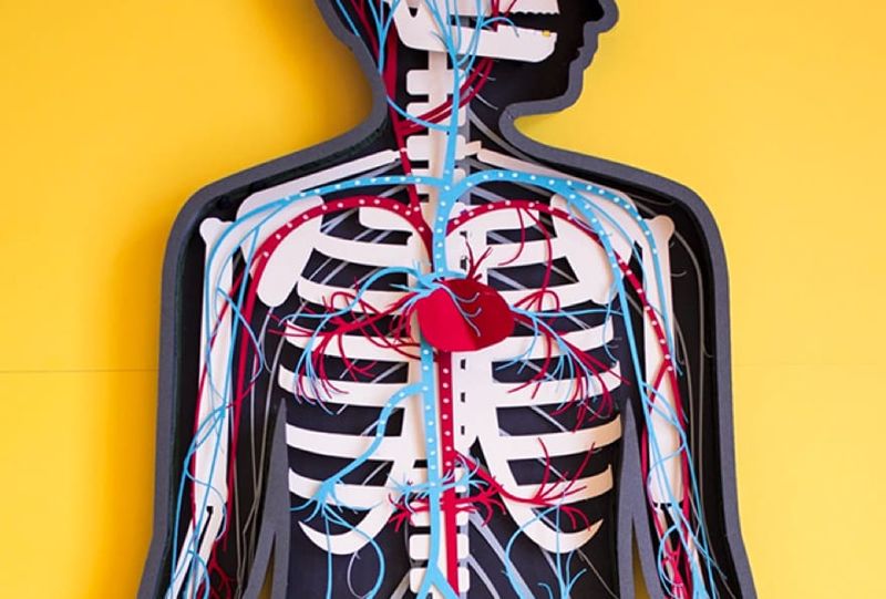 A new standard has been set for children’s apps