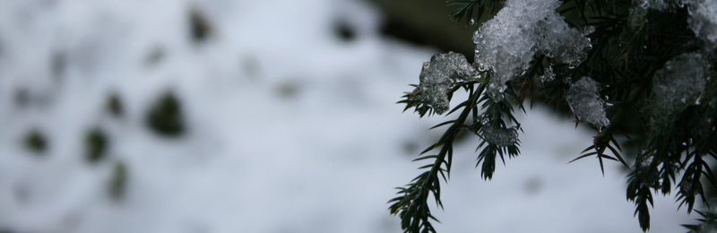 Playing The Quiet Year, a tabletop game about building communities