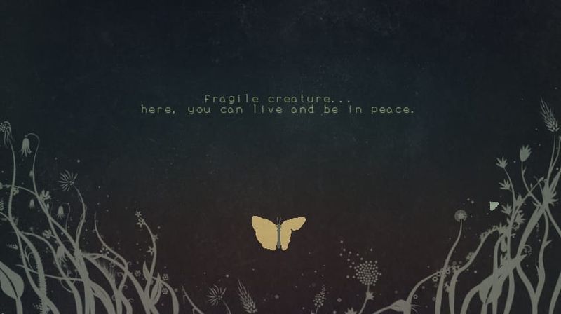 Fragile Soft Machines wants to know how you deal with hardship