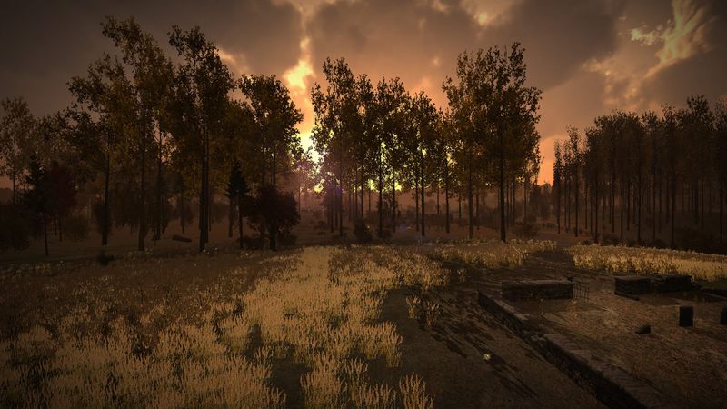 Home is Where One Starts… reflects on the power of memory