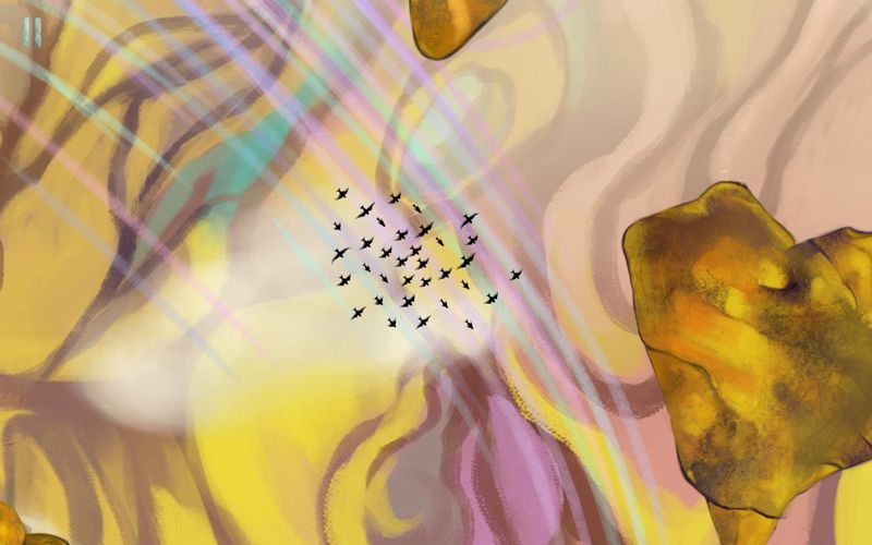 Gathering Sky lets you conduct flocks of birds as you would a piece of music