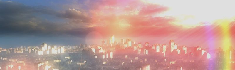 Rambling Through the Garden