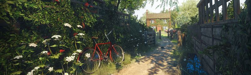 Why are we so afraid to walk?