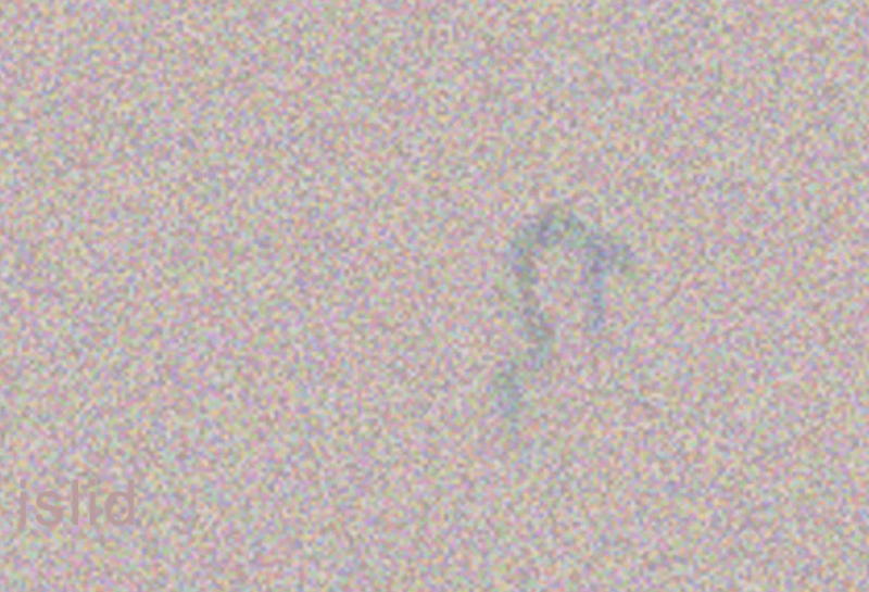 Islid lets you enter that curious half-asleep state while fully awake