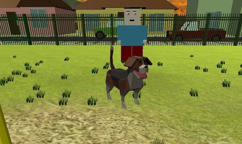 We don’t deserve Doggo