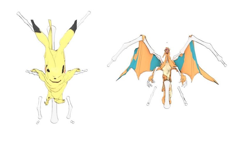 Pokemon Bones