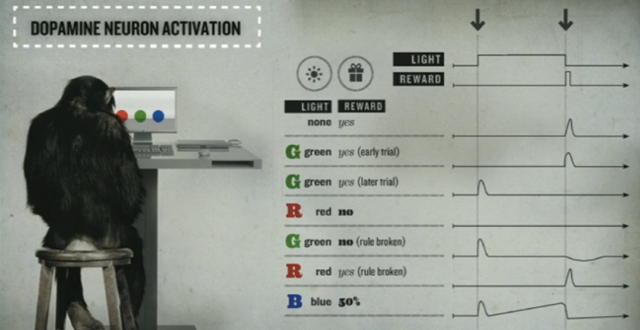 Dopamine neuron activation experiment
