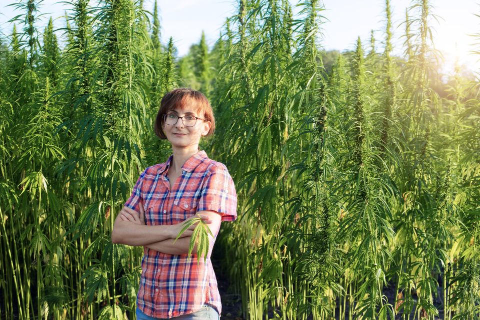 China Surging Ahead With Hemp: What About Britain?