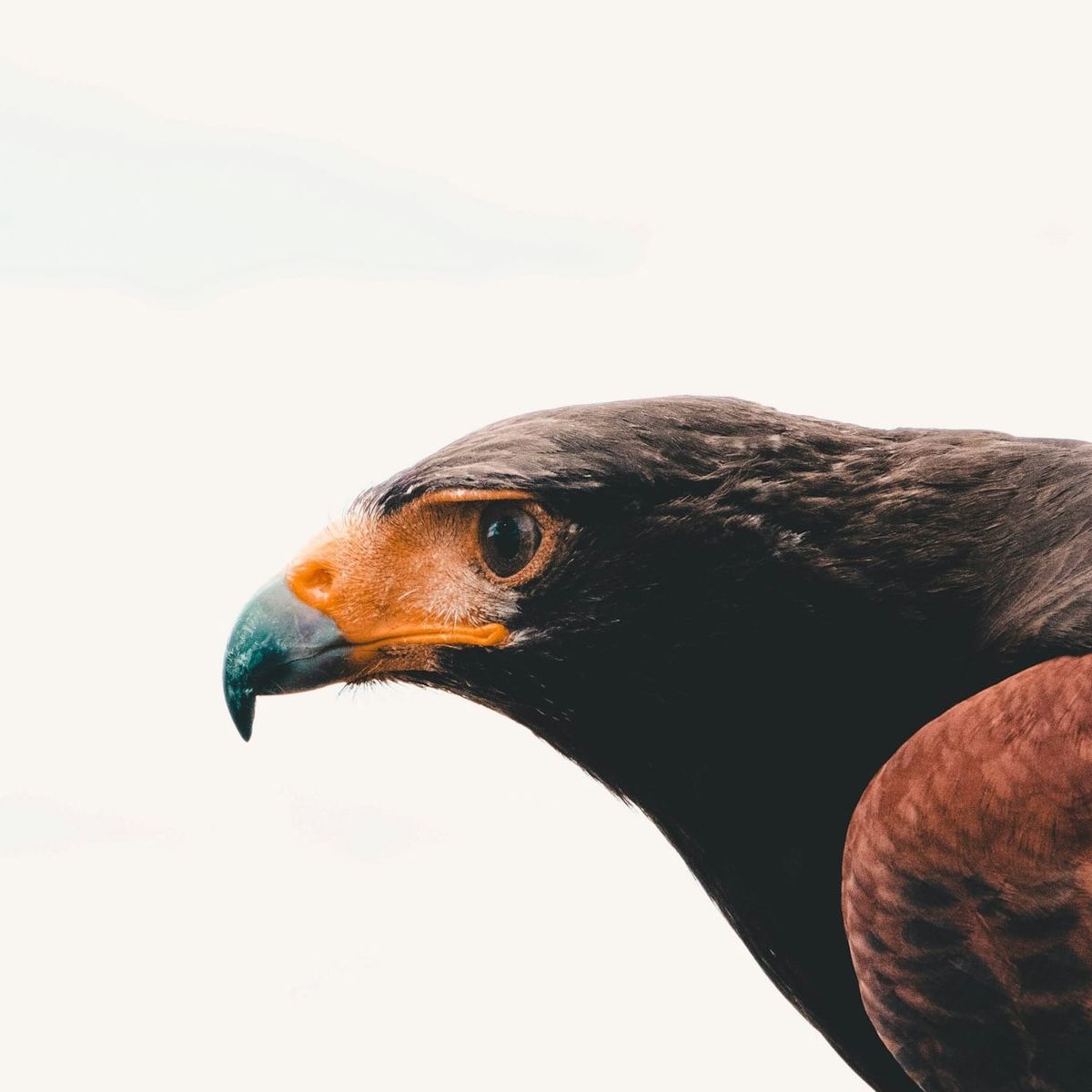 Why Focus Triumphs Over Multitasking