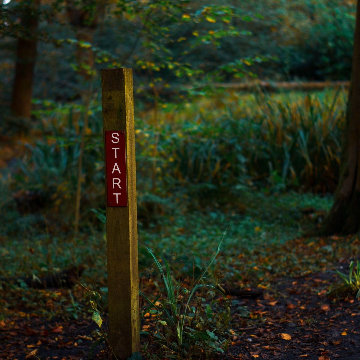 Just Get Started Now