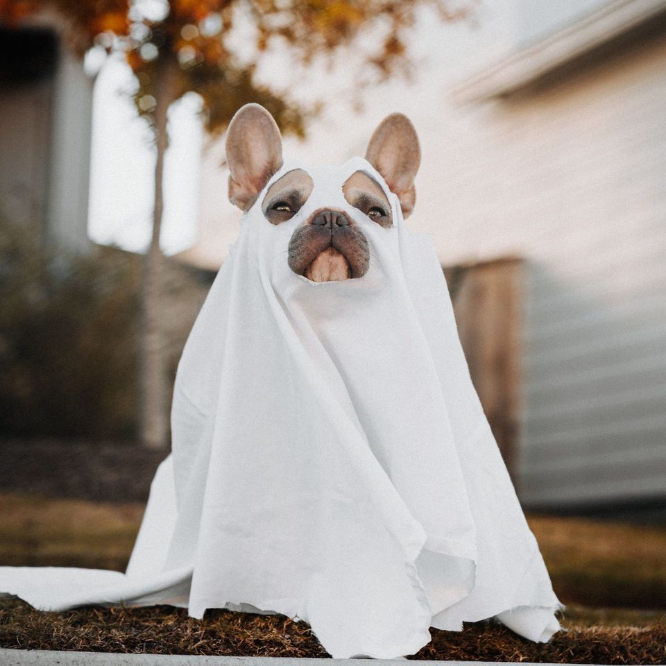 Your Scary Weekend Lift