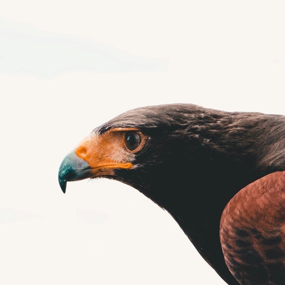 Why Focus Triumphs Over Multitasking