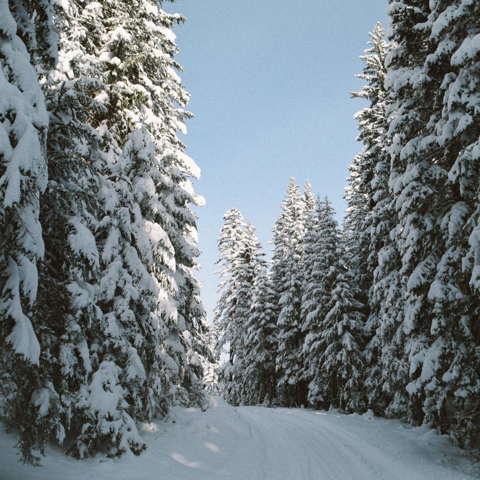 Your January 19 Weekend Lift