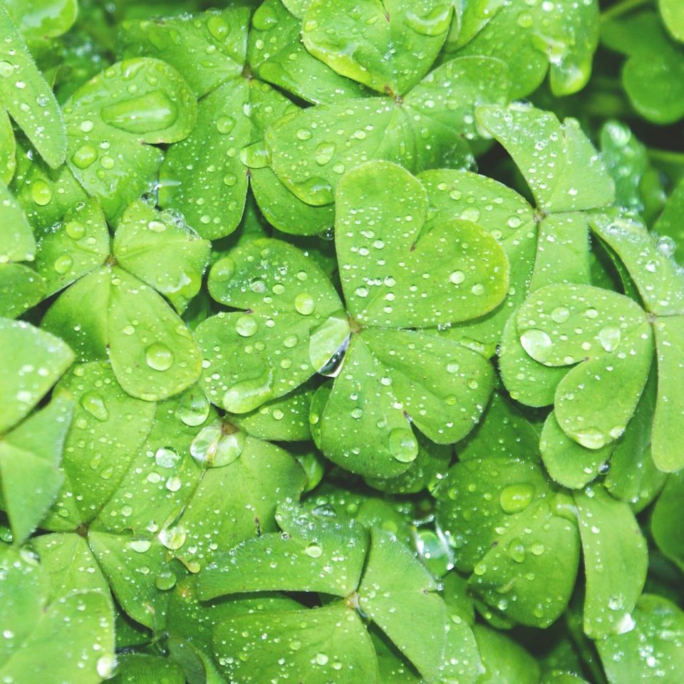 Your March 15 Weekend Lift