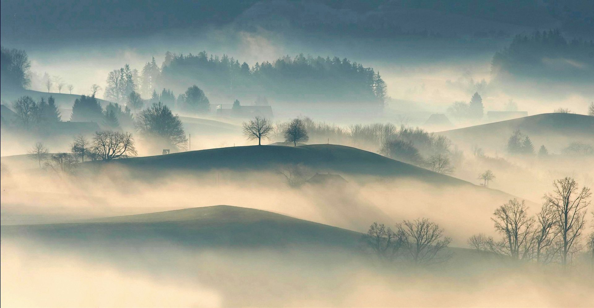 Trust the fog