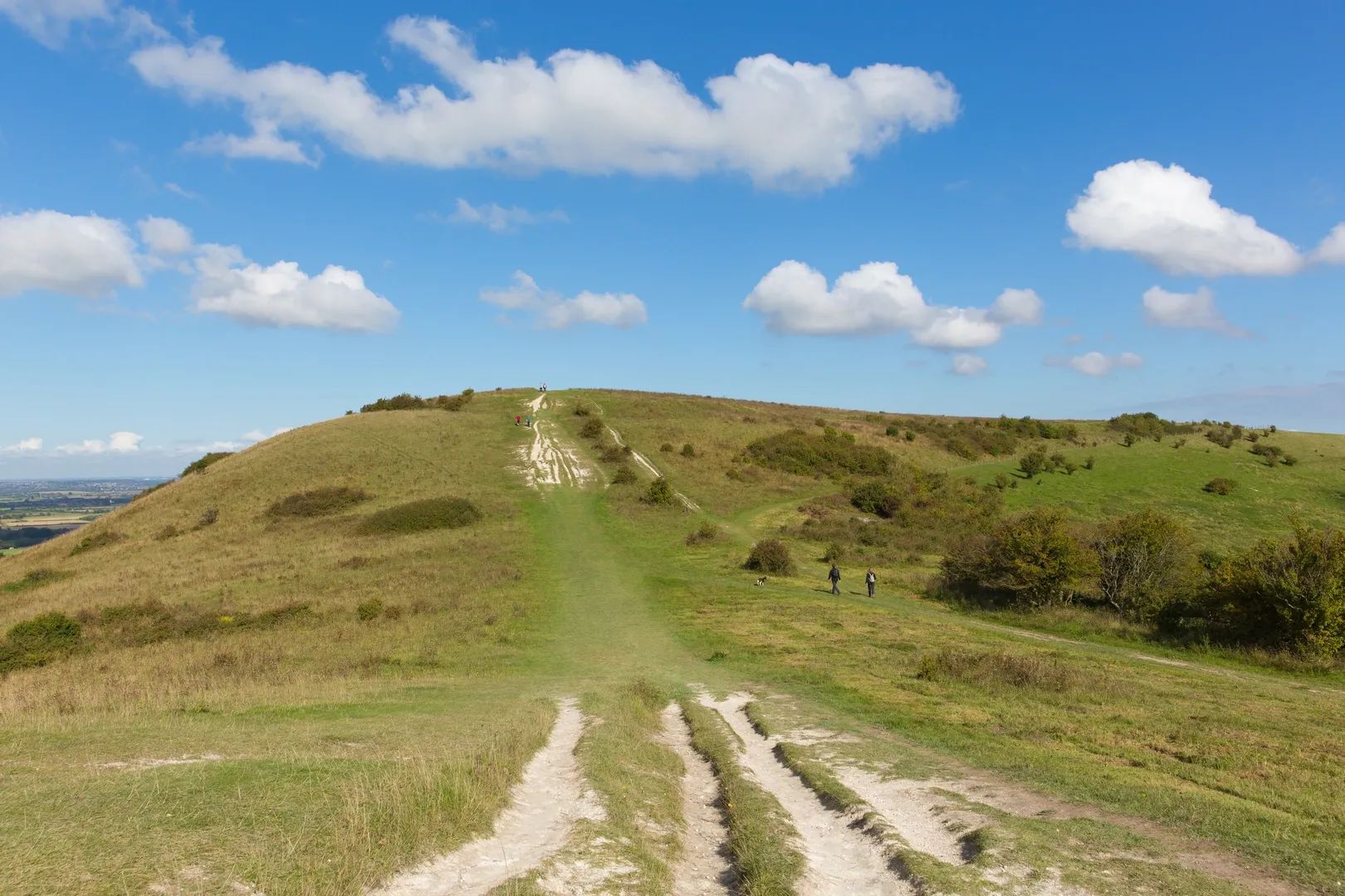 TWIL #54: From Acid Oaks to Ancient Trails