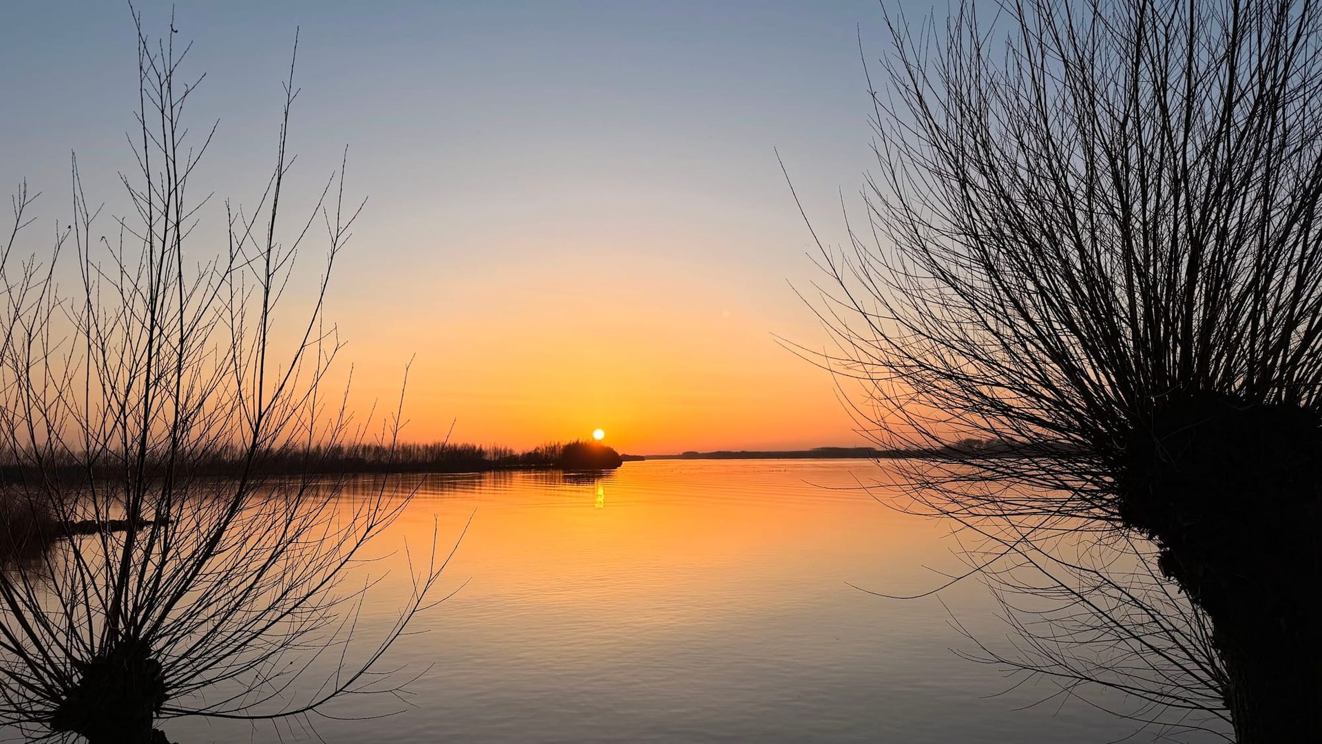 TWIL #59: Van Buurman tot Het Goede Leven