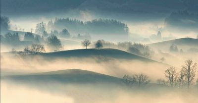 Trust the fog