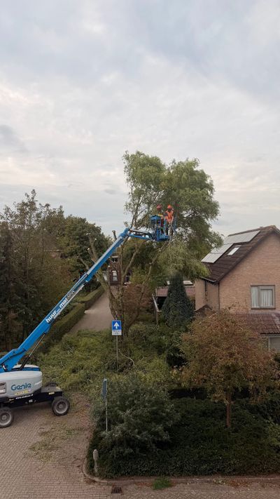 Mijn Buur de Natuur: van Groenbeheer naar Burenschap