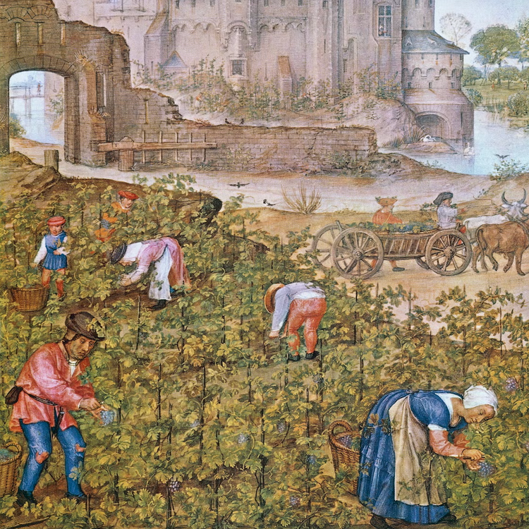 TWIL #62: Van Kerkenpaden naar Vrije tijd