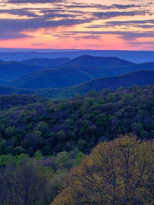 Shenandoah National Park