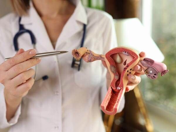 Candidíase feminina pela Germânica Heilkunde