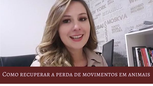 Como recuperar a perda de movimentos em animais