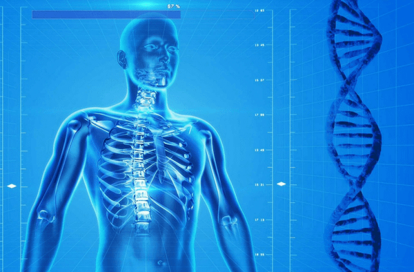conteudo-biologico-Nova-Medicina-Germanica