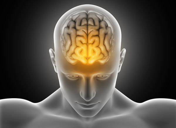 A terapia na Nova Medicina Germânica