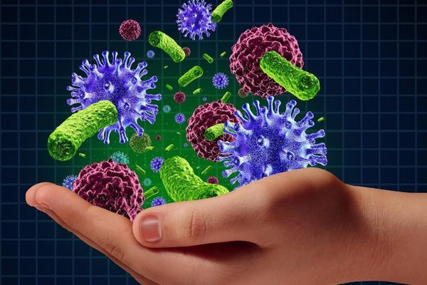 A visão da Nova Medicina Germânica sobre doenças autoimunes