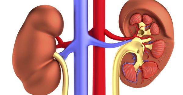 Insuficiência renal tem cura, saiba como