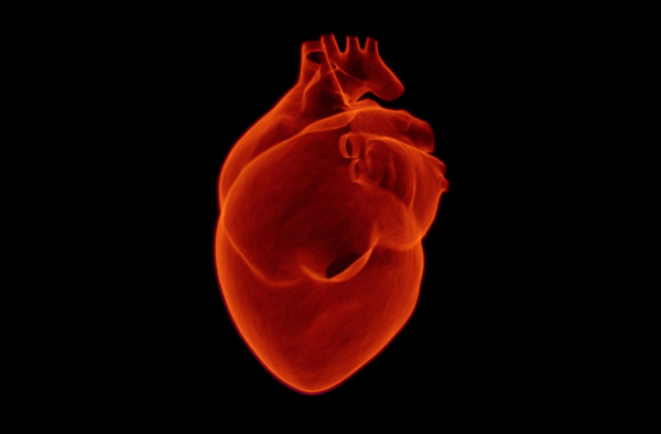 O mito do Colesterol