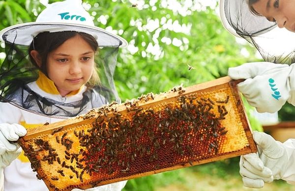 This School is the First in Dubai to Host a Living Beehive in Partnership With Terra Expo City