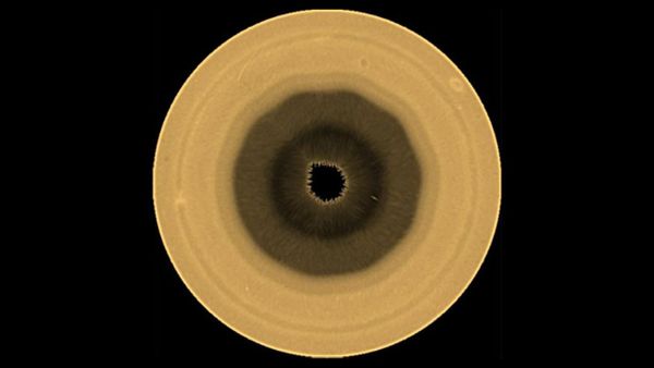 Hubble Reveals a 10-Sided Wave Taking Shape Over Saturn's South Pole