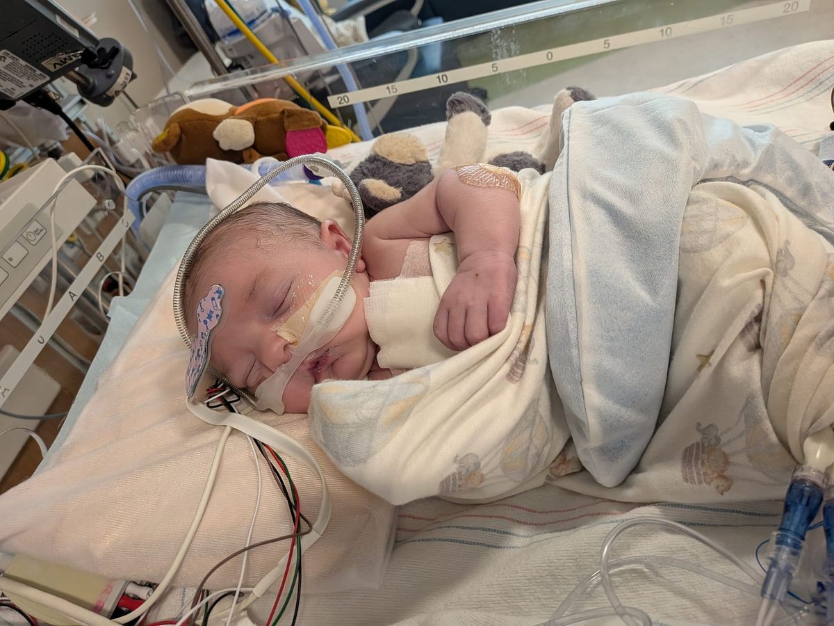 Week #3 Update
