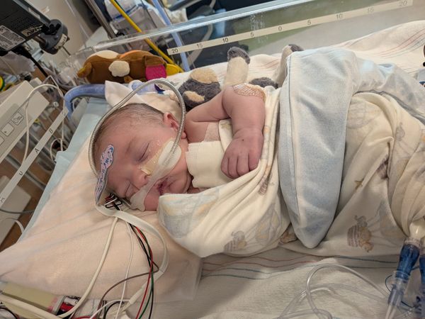 Week #3 Update