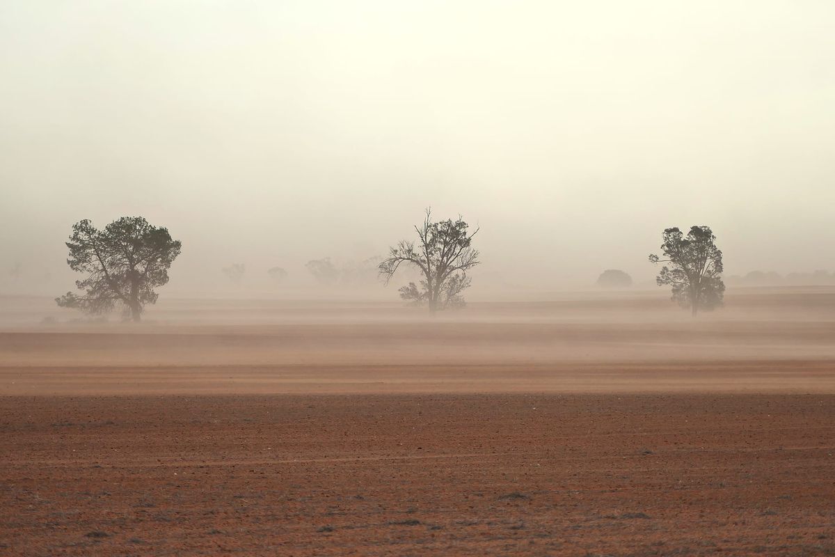 Daily Ag News – 17 April 2026