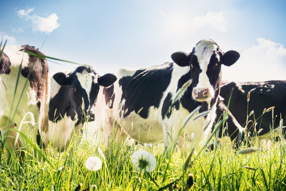 Daily Ag News – 16 April 2026