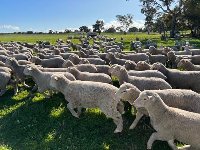 Daily Ag Newsletter - 7 May 2026