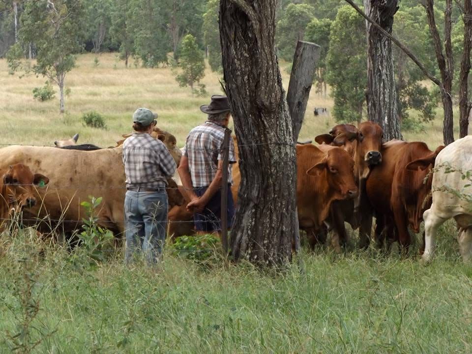 Ag Newsletter - 16 June 2026