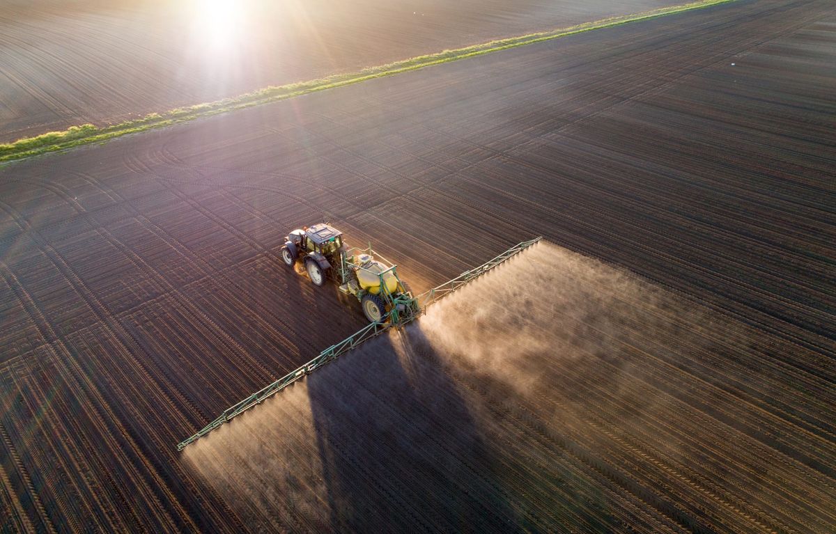 Ag Newsletter - 11 June 2026