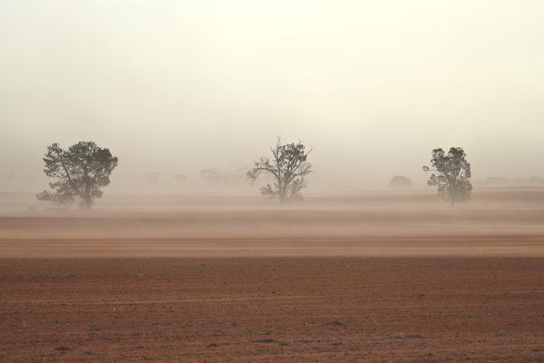 Daily Ag News – 17 April 2026