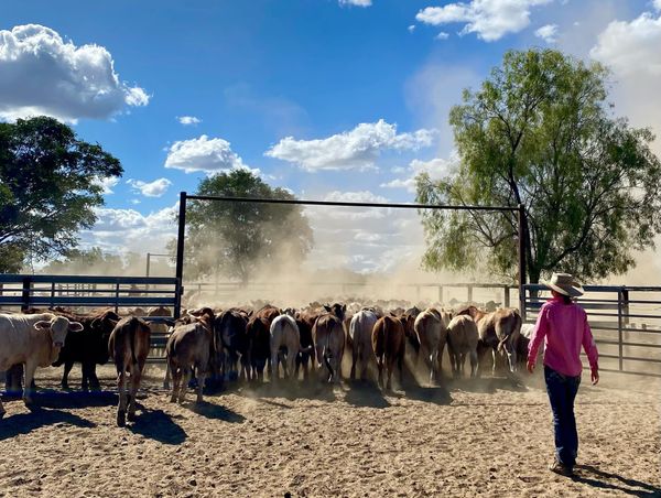 Daily Ag News - 21 April 2026