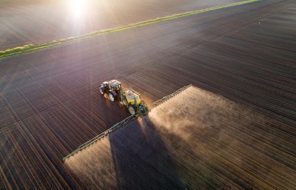 Ag Newsletter - 11 June 2026