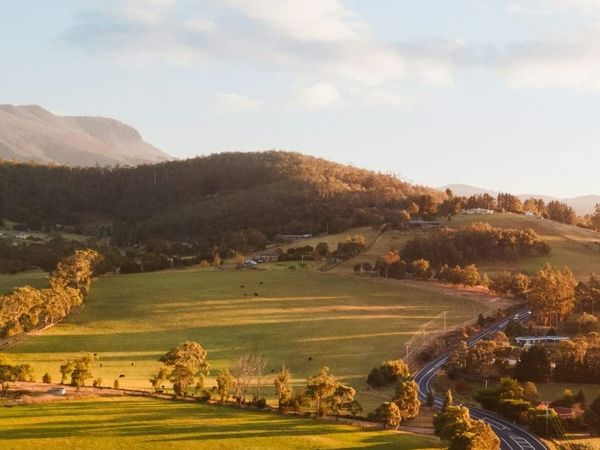 Ag Newsletter - 14 July 2026