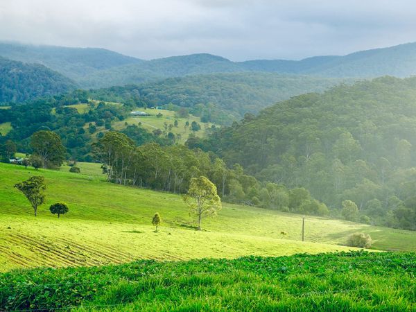 Ag Newsletter - 21 August 2026