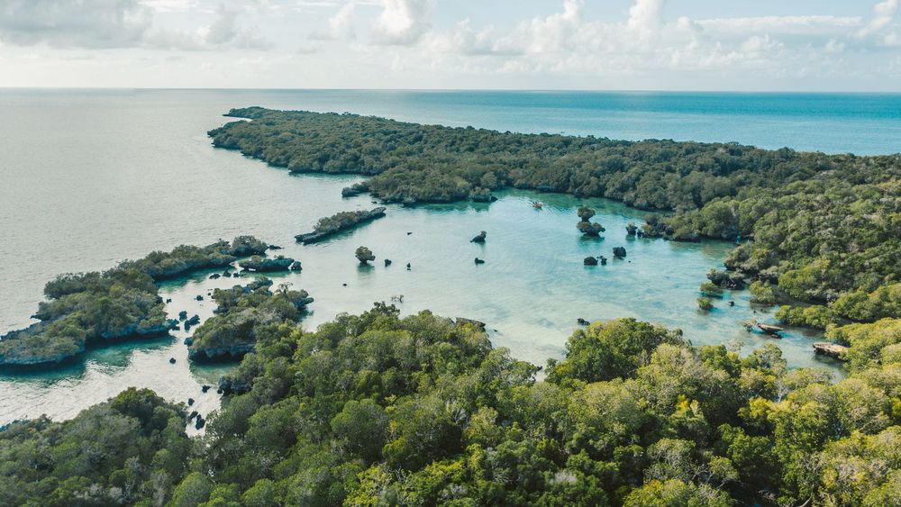 Comores — Business.OI